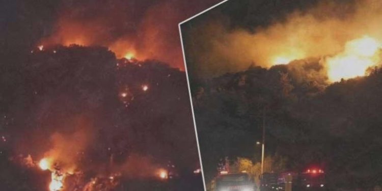 Muğla’da orman yangını: Bölgeye çok sayıda takım sevk edildi, gece görüşlü helikopter istendi