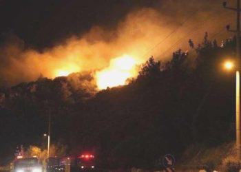 Muğla’daki orman yangını 12 saatte denetim altına alındı: 1 gözaltı