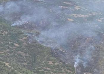 Ödemiş’teki yangın denetim altına alındı