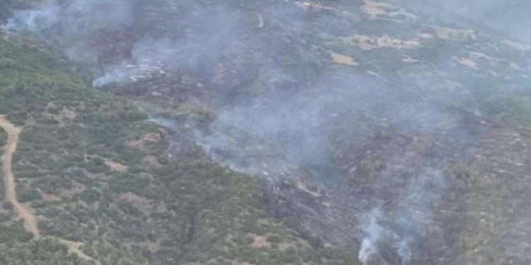 Ödemiş’teki yangın denetim altına alındı