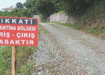 Ordu’nun Akkuş ilçesinde 9 mahallede şap karantinası başlatıldı