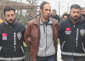 ‘Palu ailesi’ davasında tutuklu sanığa müebbet mahpus cezası verildi
