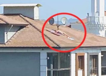 Polis çatıda çıplak halde güneşlenen kişiyi arıyor… Sireni duyunca kaçtı!