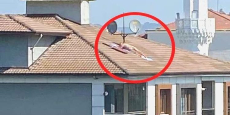 Polis çatıda çıplak halde güneşlenen kişiyi arıyor… Sireni duyunca kaçtı!