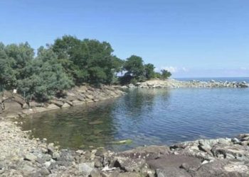 Rize’de denizde cansız vücut bulundu