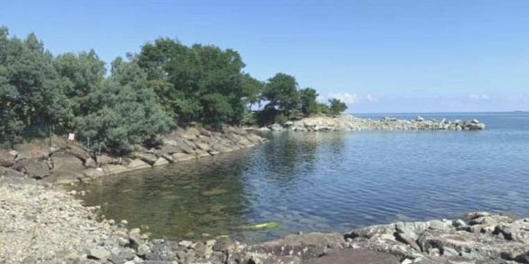 Rize’de denizde cansız vücut bulundu