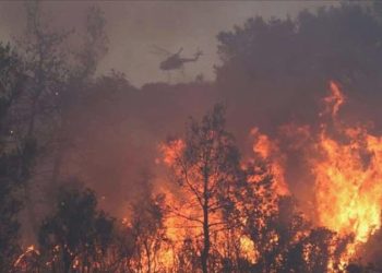 Rodos’tan sonra Korfu’da da yangın çıktı