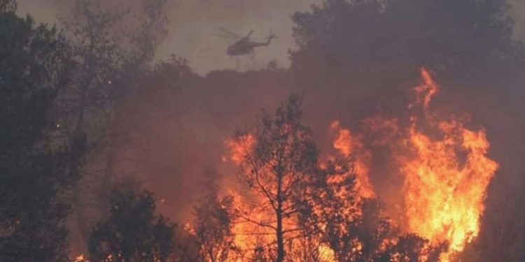 Rodos’tan sonra Korfu’da da yangın çıktı