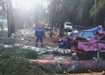 Rusya’da ağaçlar kamp alanına devrildi: 3’ü çocuk 8 kişi öldü