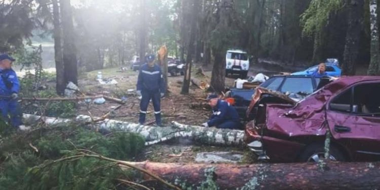Rusya’da ağaçlar kamp alanına devrildi: 3’ü çocuk 8 kişi öldü