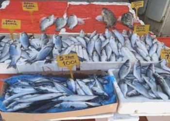 Sıcak havada balığa istek yok