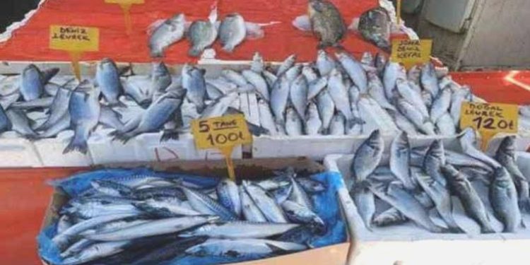 Sıcak havada balığa istek yok