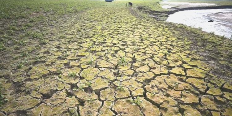 ‘Sıcaklık kırsal bölgelerde kuraklık riskini artırıyor’
