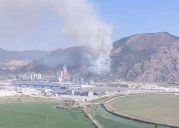 Söke’de orman yangını: Havadan ve karadan müdahale ediliyor!