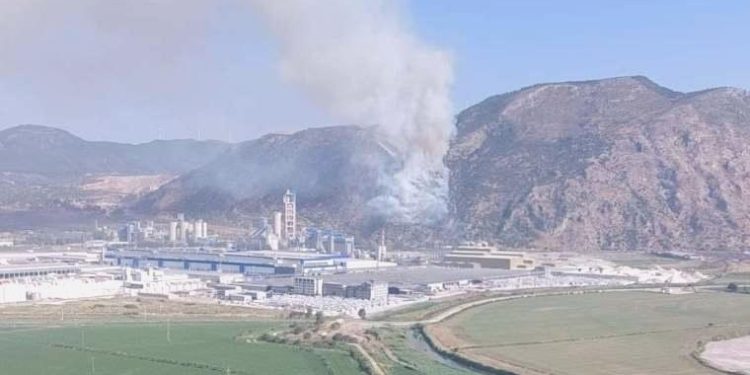 Söke’de orman yangını: Havadan ve karadan müdahale ediliyor!