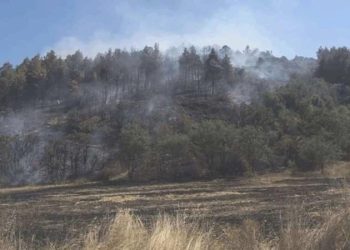 Son Dakika: Burdur’da orman yangını