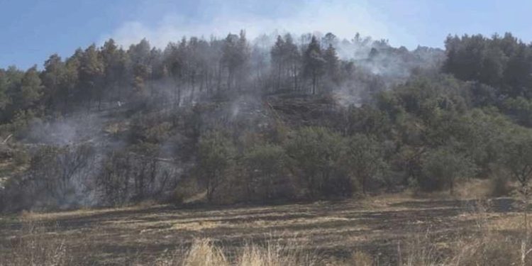 Son Dakika: Burdur’da orman yangını