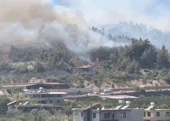 Son Dakika… Cumhuriyet olay yerinden bildiriyor: Hatay’da orman yangını!
