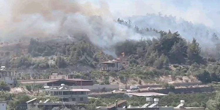 Son Dakika… Cumhuriyet olay yerinden bildiriyor: Hatay’da orman yangını!