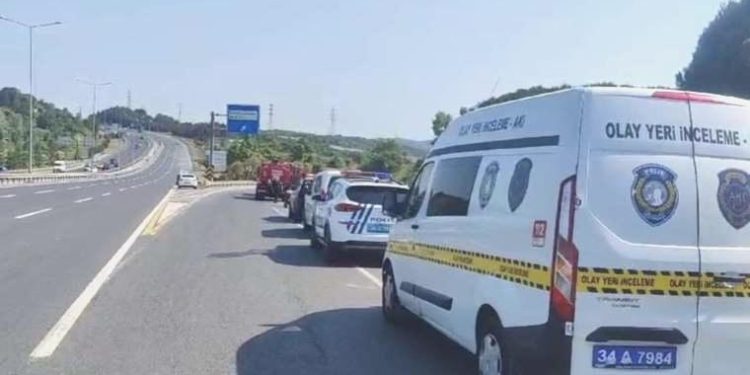 Son Dakika: İstanbul’da iki farklı noktada orman yangını!