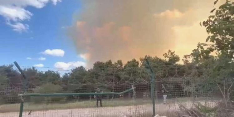 Son Dakika: İstanbul’da orman yangını!