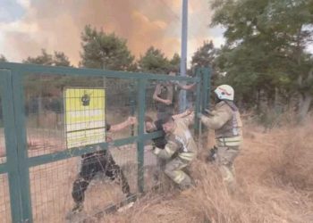 Son Dakika: İstanbul’da orman yangını!