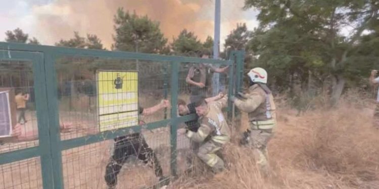 Son Dakika: İstanbul’da orman yangını!