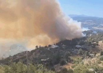 Son Dakika: Kahramanmaraş’ta çıkan orman yangını denetim altına alındı