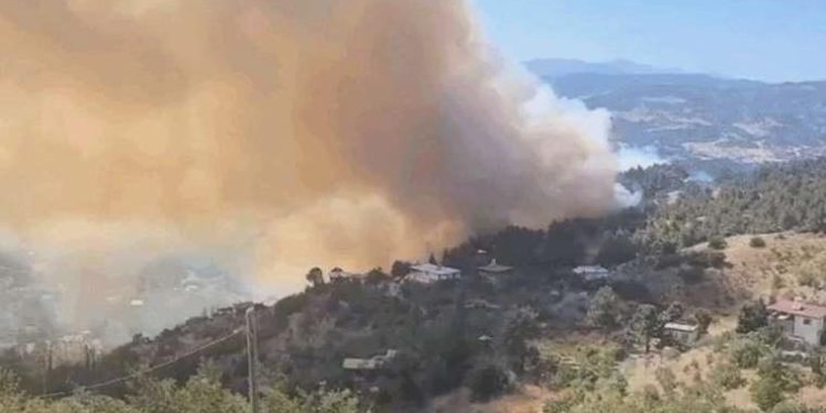 Son Dakika: Kahramanmaraş’ta çıkan orman yangını denetim altına alındı