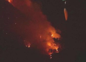 Son dakika… Kemer’deki orman yangını 5. gününde denetim altına alındı