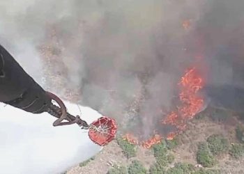 Son Dakika: Manisa’da orman yangını