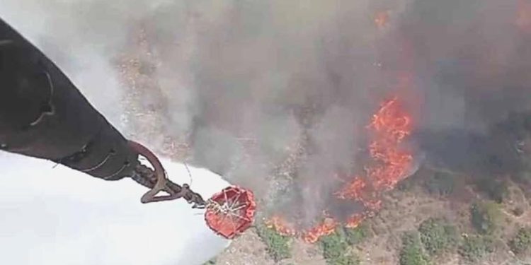 Son Dakika: Manisa’da orman yangını