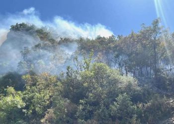 Son Dakika: Uludağ’da orman yangını!