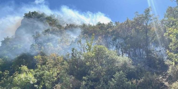 Son Dakika: Uludağ’da orman yangını!