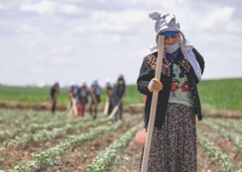 Tarımda ‘sıcak’ korkusu