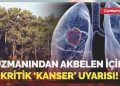 Uzmanından Akbelen için kritik ‘kanser’ uyarısı!