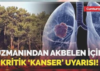 Uzmanından Akbelen için kritik ‘kanser’ uyarısı!