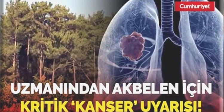 Uzmanından Akbelen için kritik ‘kanser’ uyarısı!