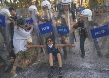 Valilik açıkladı: Akbelen’de kesim süreçleri tamamlandı