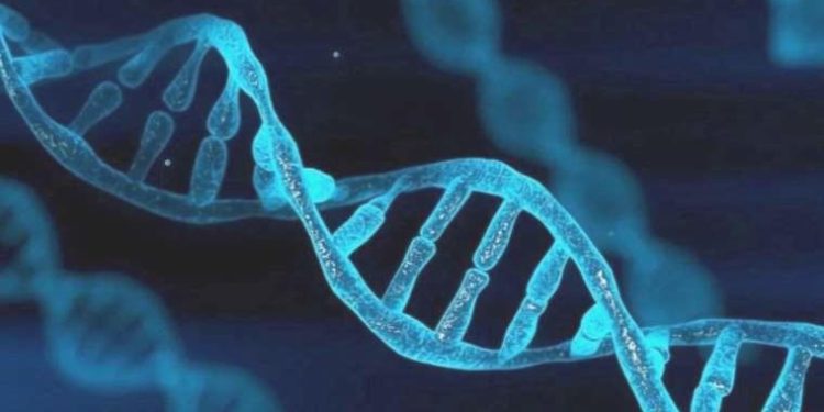 Yeni araştırma: Esrar insan epigenomunu değiştiriyor