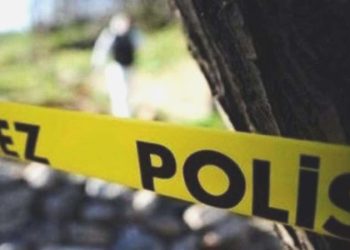 Yol kenarındaki araç içerisinde silahla vurulmuş halde meyyit bulundu