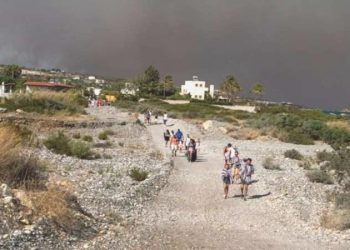 Yunanistan orman yangınlarıyla boğuşuyor