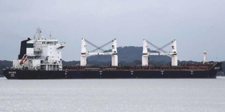 14 gün süren seyahat: Avrupa’ya gitmek isteyen 4 göçmen Brezilya’da kurtarıldı