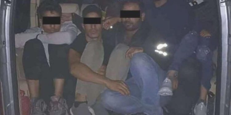 4 organizatör gözaltına alındı: 241 kaçak göçmen yakalandı