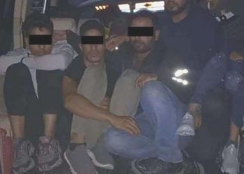 4 organizatör gözaltına alındı: 241 kaçak göçmen yakalandı