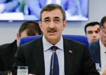 Cevdet Yılmaz’dan TL açıklaması