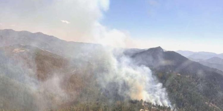 Adana’da orman yangını