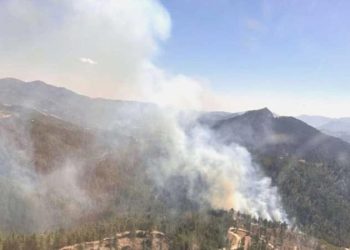 Adana’da orman yangını