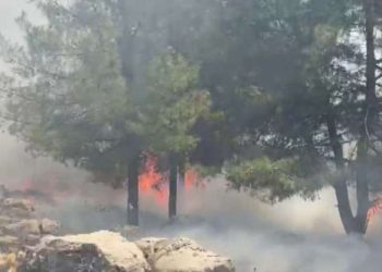 Adıyaman’daki orman yangını söndürüldü