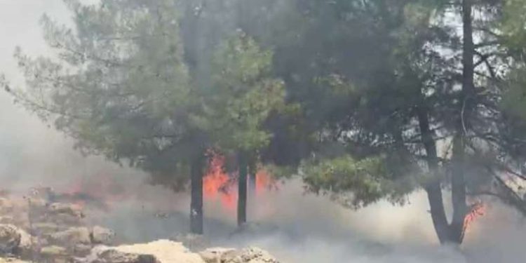 Adıyaman’daki orman yangını söndürüldü